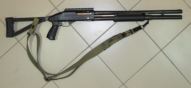 iz81-2.jpg