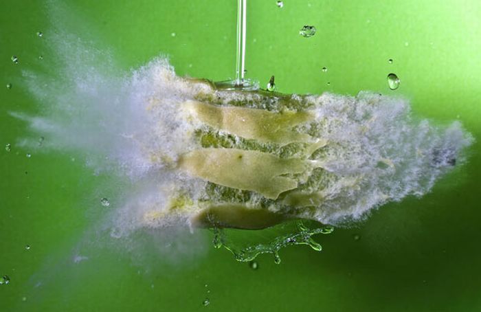 pulfrezzze18.jpg