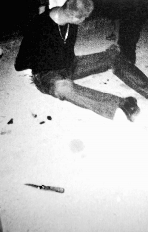 403938_1_300.jpg