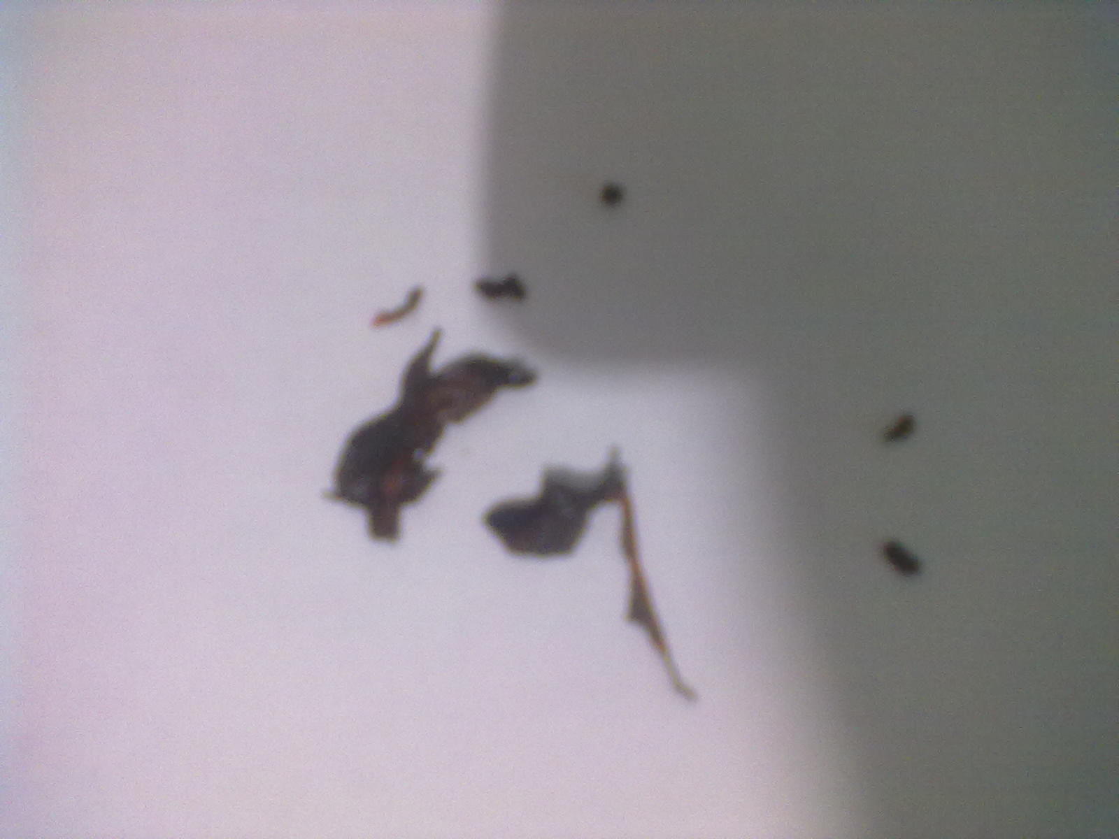 19022012381.jpg