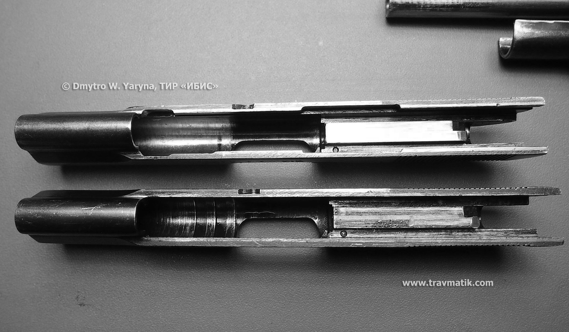 TT-Pistilet-VIY_09.jpg